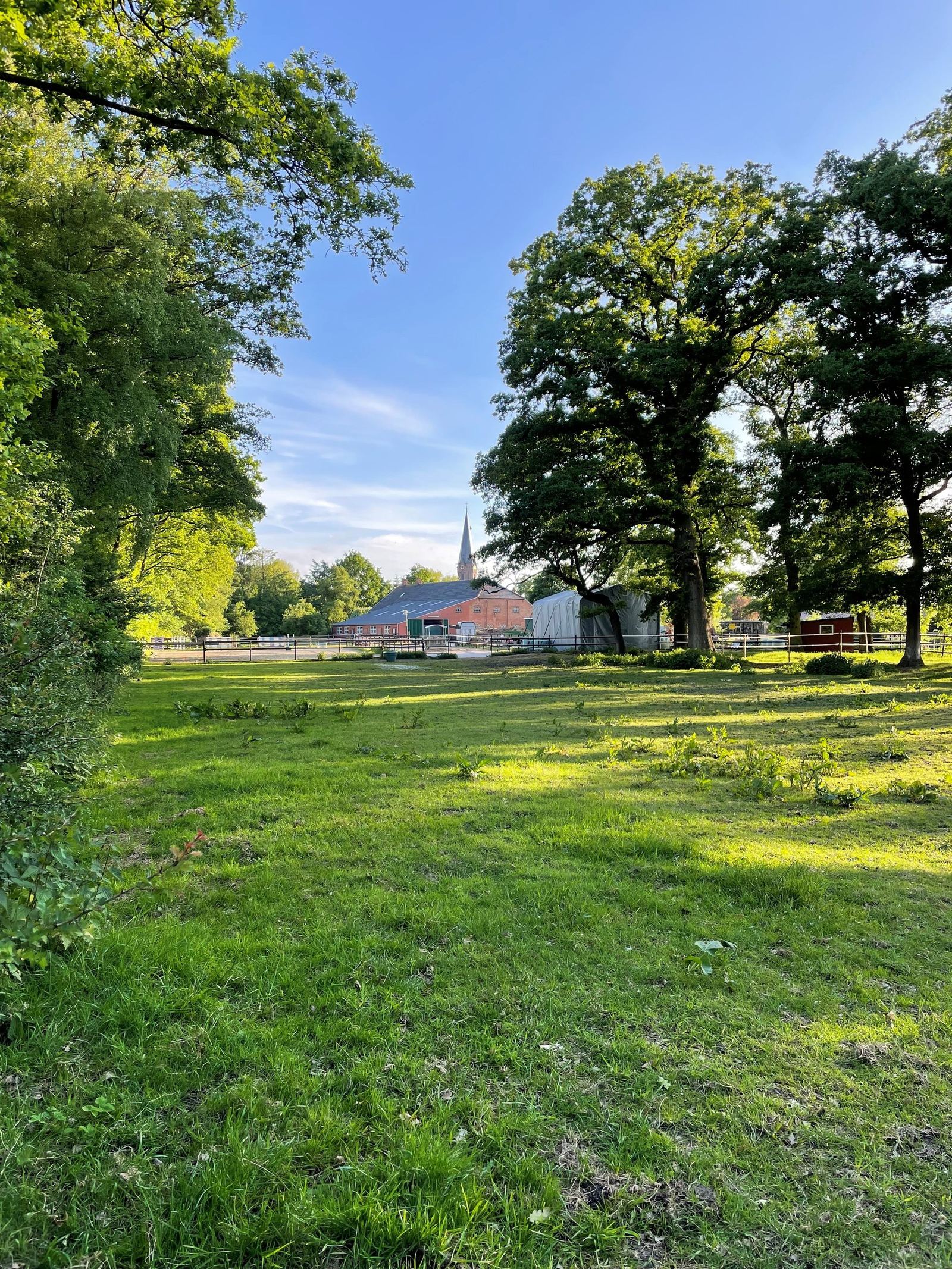 Finwood Ranch im Frühling mit Kirchturm im Hintergrund
